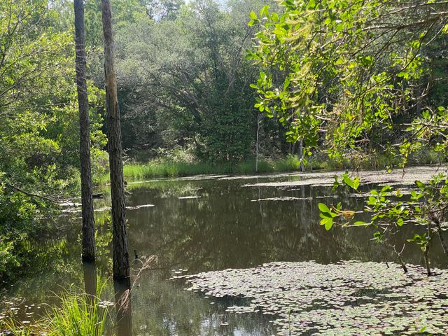 20 acres Canyon Trail, Baker, FL 32531