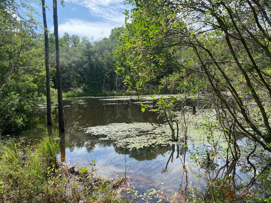 20 acres Canyon Trail, Baker, FL 32531