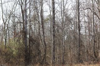 0 Jones Chapel Road, Reidsville, NC 27320