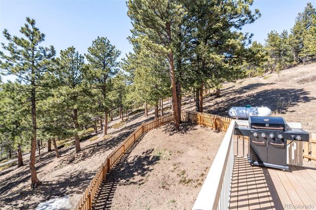 140 County Road 128n, Nederland, CO 80466