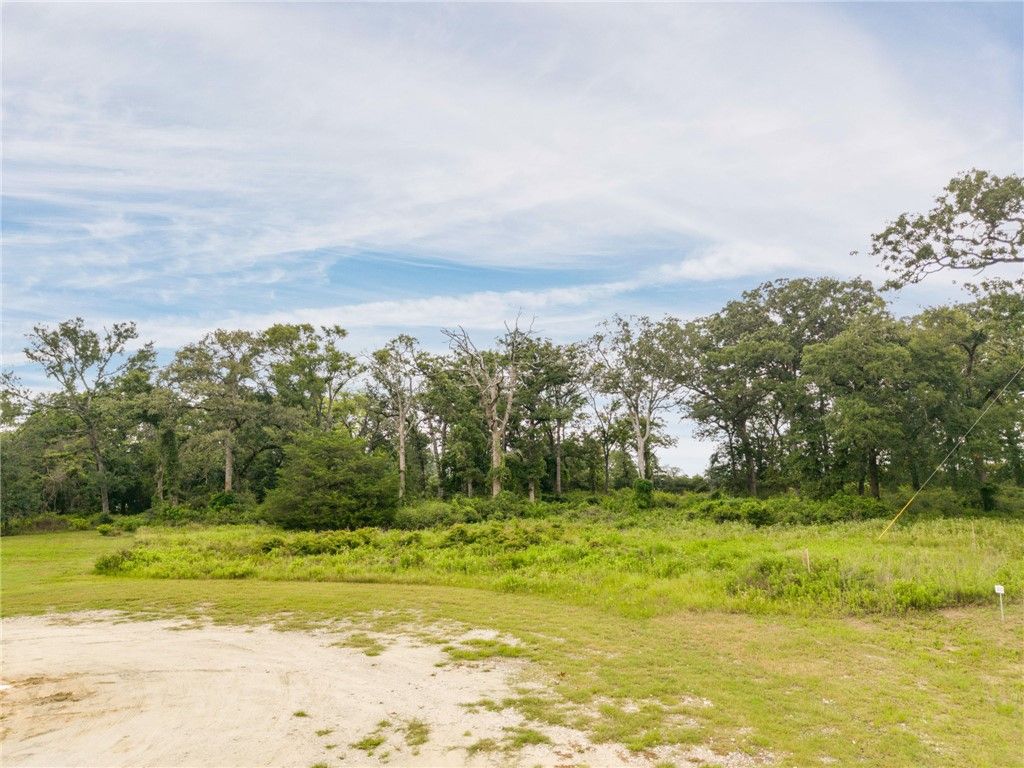4497 Collton Lane, Franklin, TX 77856 — photo 2