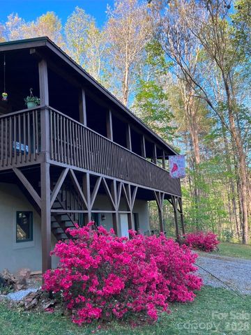 174 Nix Creek Road, Canton, NC 28716