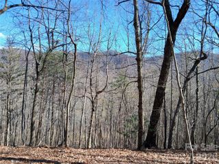 00 Piney Gate Road 39, White Oak, NC 28773