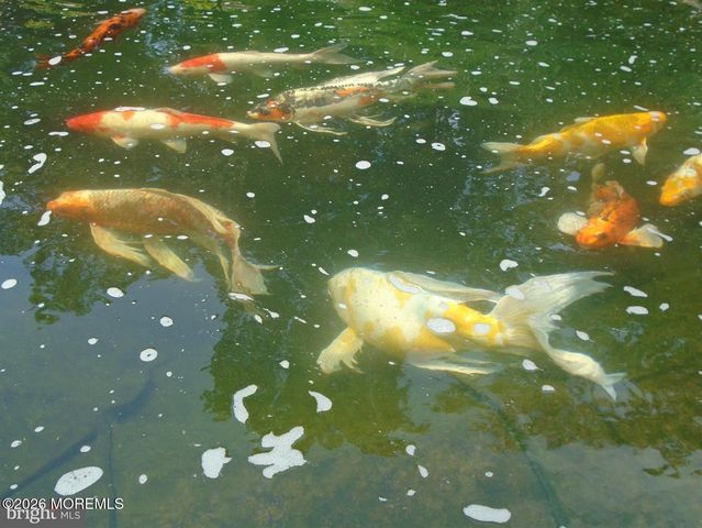 22 Nugentown Road, Little Egg Harbor, NJ 08087