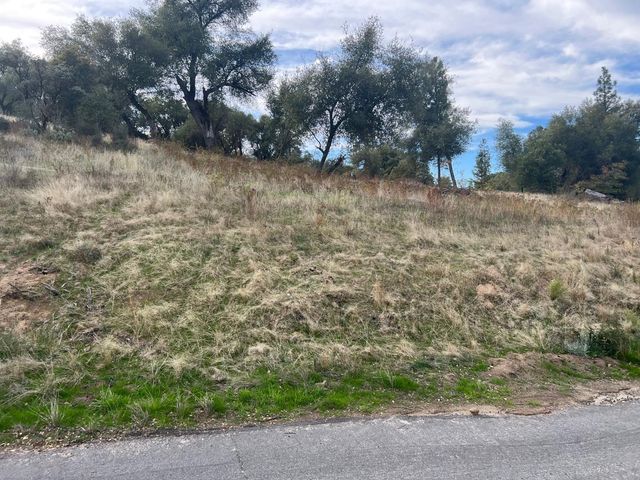 1 Hangtree Court, Oakhurst, CA 93644