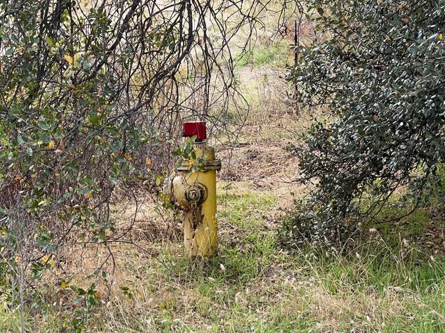 1 Hangtree Court, Oakhurst, CA 93644