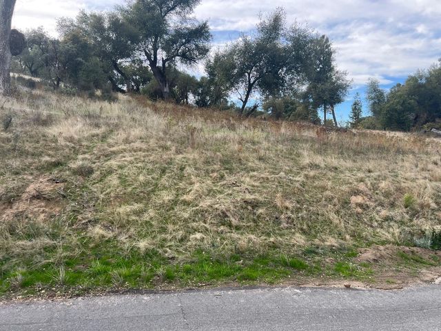 1 Hangtree Court, Oakhurst, CA 93644