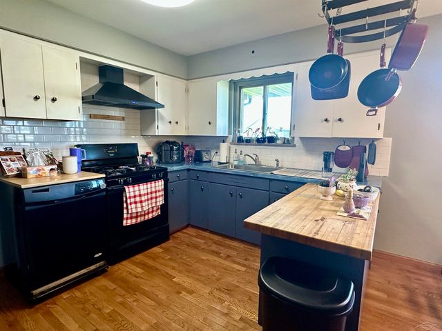 8685 W Sanilac Road, Denmark Twp, MI 48768