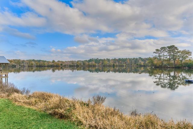 15012 Lake Paula Drive, Willis, TX 77318