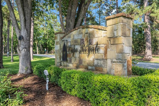 10 Driftwood Lane, Coldspring, TX 77331