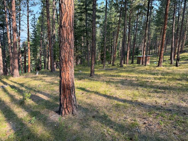 NHN Only Sierra Lane, Potomac, MT 59823