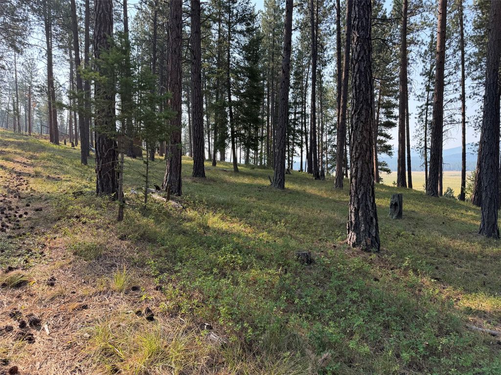 NHN Only Sierra Lane, Potomac, MT 59823 photo 2