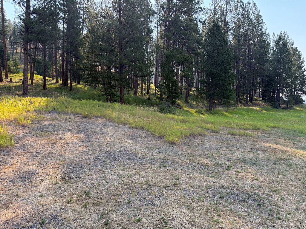 NHN Only Sierra Lane, Potomac, MT 59823 photo 3