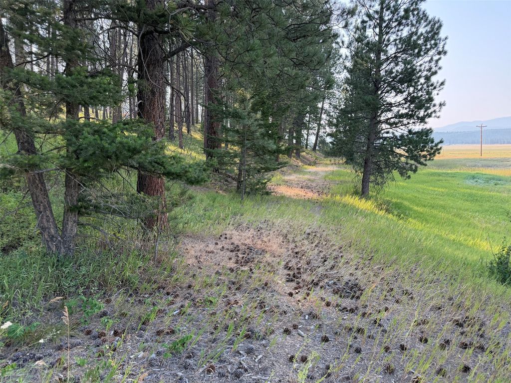 NHN Only Sierra Lane, Potomac, MT 59823 photo 4