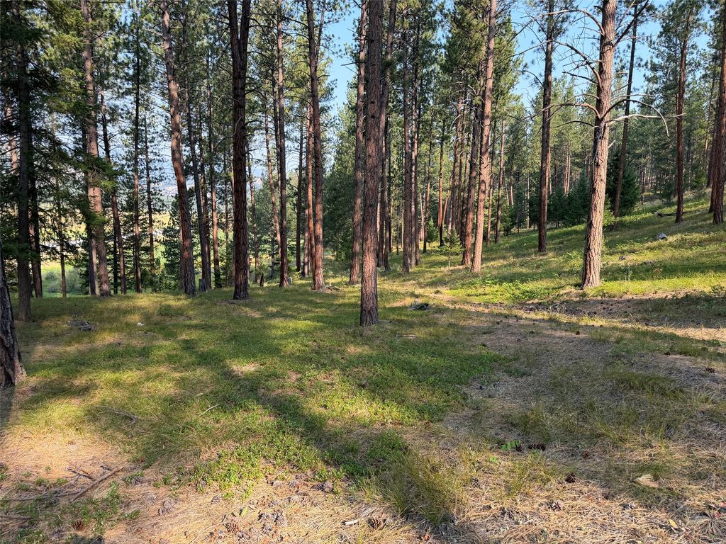 NHN Only Sierra Lane, Potomac, MT 59823 photo 5