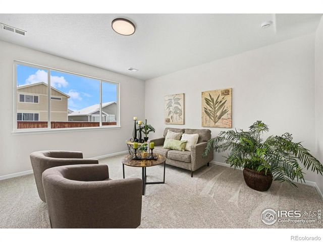 2125 Peach Blossom Drive, Windsor, CO 80550