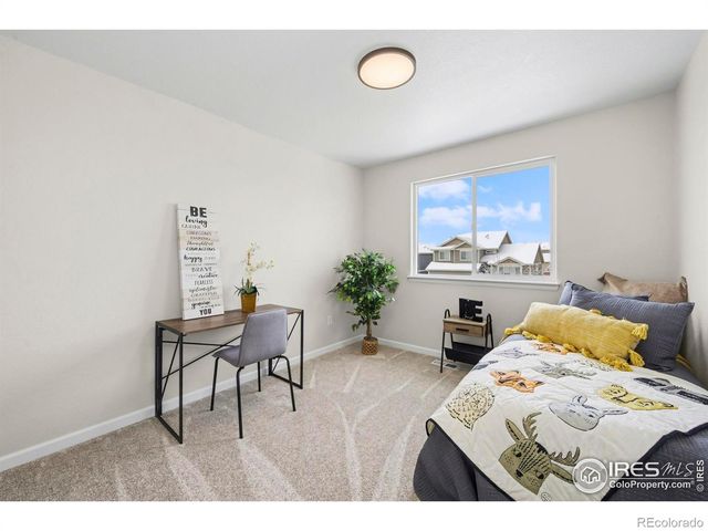 2125 Peach Blossom Drive, Windsor, CO 80550