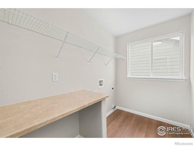 2125 Peach Blossom Drive, Windsor, CO 80550