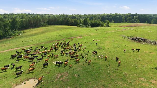 925 Sumac Rd, Pulaski, TN 38478