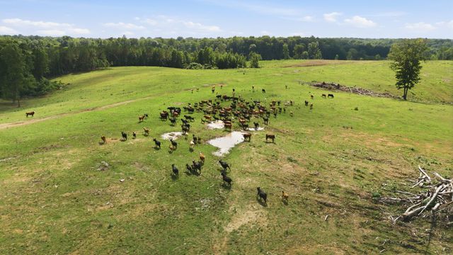 925 Sumac Rd, Pulaski, TN 38478