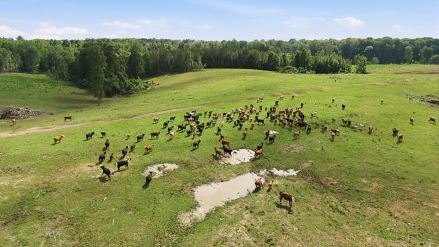 925 Sumac Rd, Pulaski, TN 38478