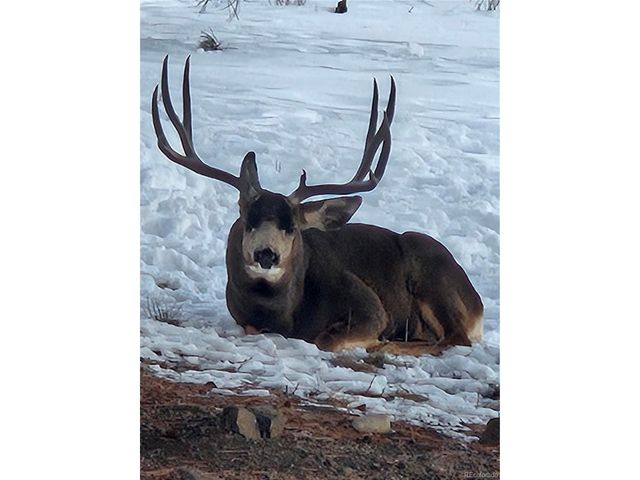 2660 Campfire Rd, Hartsel, CO 80449