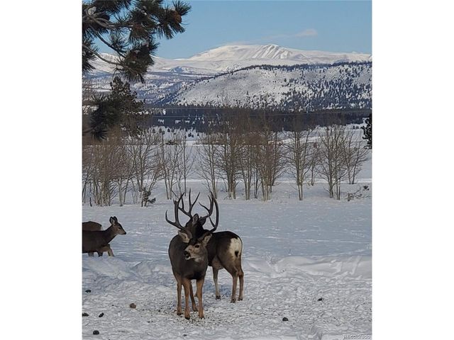 2660 Campfire Rd, Hartsel, CO 80449