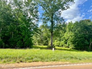 Lot 2 Hwy 24, Centreville, MS 39631