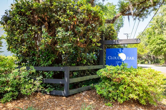 639 Cloudbreak Court, Charleston, SC 29412