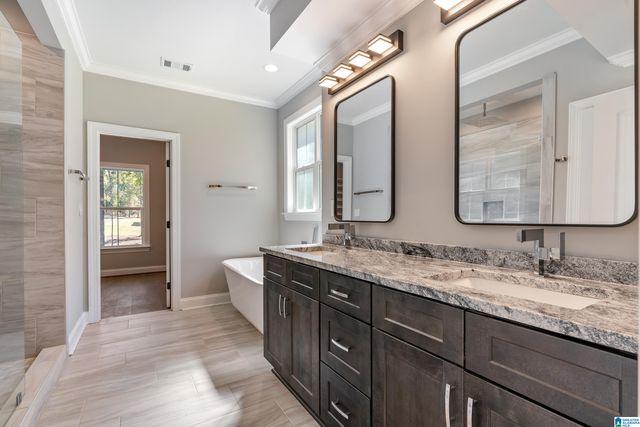 21320 CALLIE CIRCLE, Mccalla, AL 35111