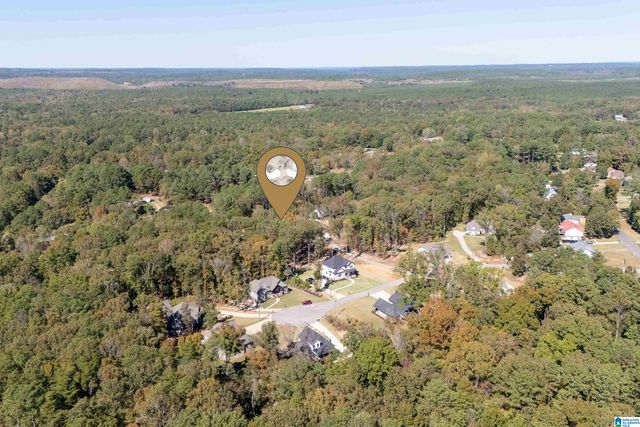 21320 CALLIE CIRCLE, Mccalla, AL 35111