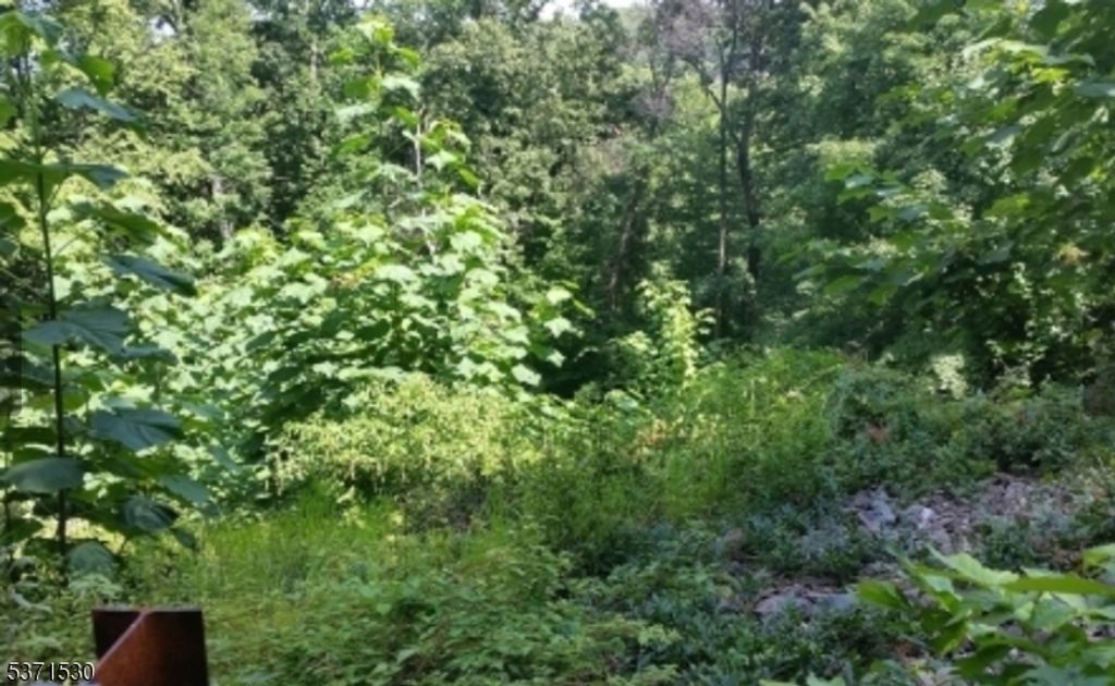 21 Rockledge Rd, Montville Twp., NJ 07045