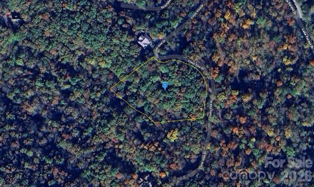 243 Cross Vine Drive, Tuckasegee, NC 28783