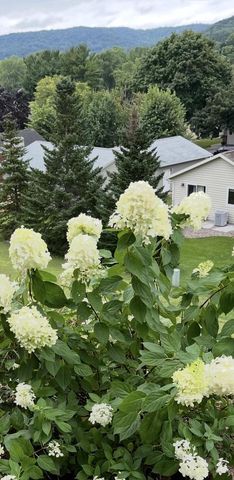 203 Eagles Bluff ROAD, La Crescent, MN 55947