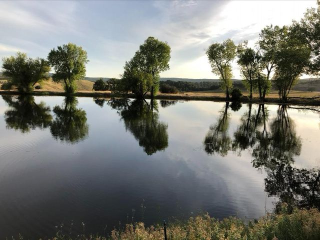 1172 Hodson Rd, Copperopolis, CA 95228