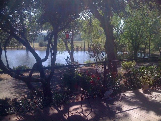 1172 Hodson Rd, Copperopolis, CA 95228