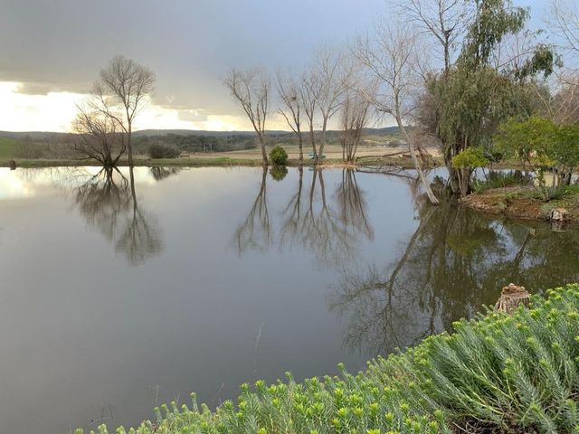 1172 Hodson Rd, Copperopolis, CA 95228