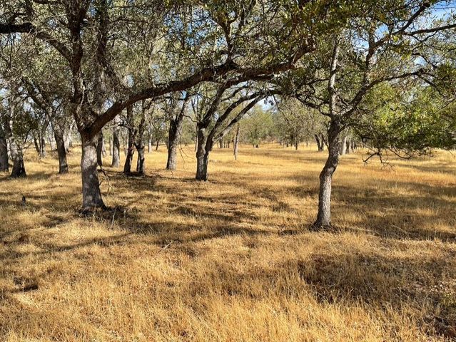 1172 Hodson Rd, Copperopolis, CA 95228