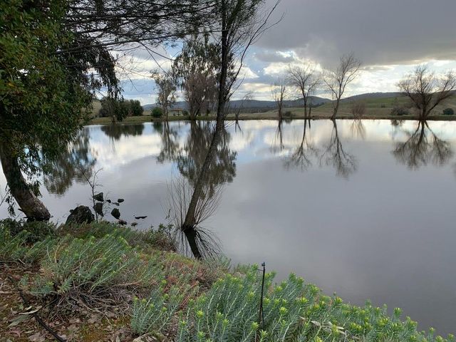 1172 Hodson Rd, Copperopolis, CA 95228