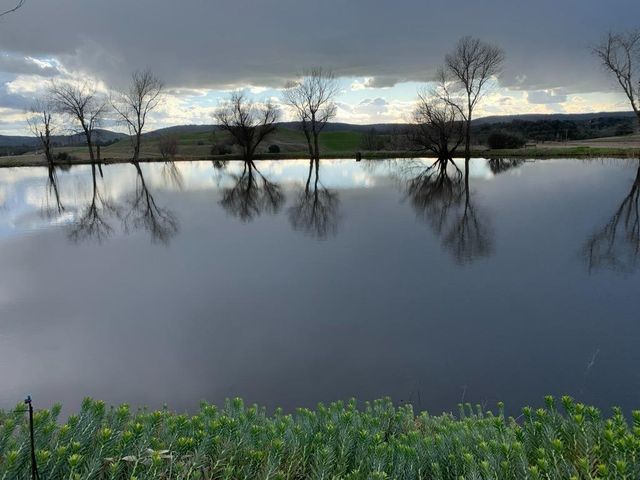 1172 Hodson Rd, Copperopolis, CA 95228