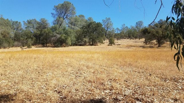 1172 Hodson Rd, Copperopolis, CA 95228