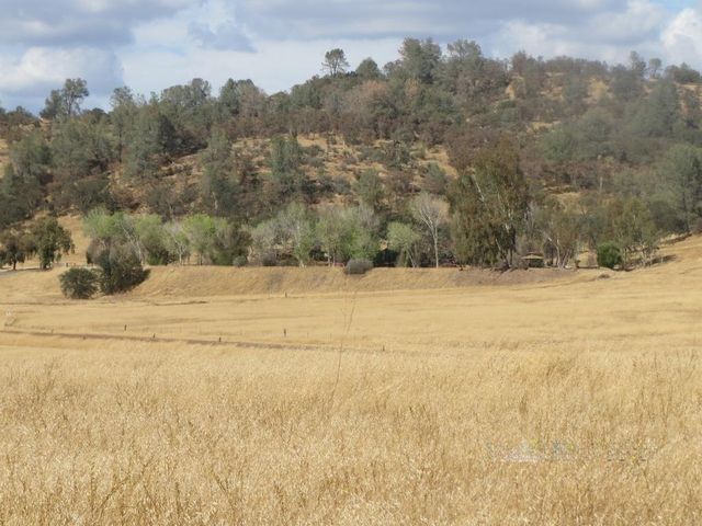1172 Hodson Rd, Copperopolis, CA 95228