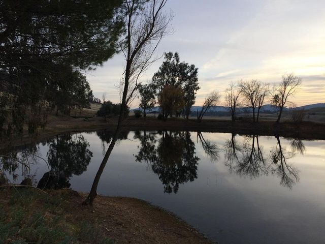 1172 Hodson Rd, Copperopolis, CA 95228