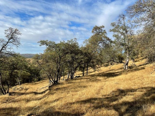 1172 Hodson Rd, Copperopolis, CA 95228