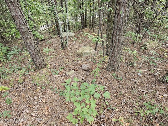 2820 Dupont Springs Rd, Sevierville, TN 37862