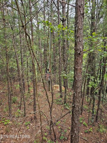 2820 Dupont Springs Rd, Sevierville, TN 37862