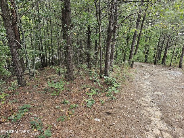 2820 Dupont Springs Rd, Sevierville, TN 37862