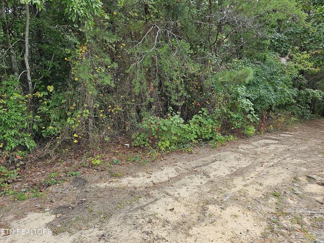 2820 Dupont Springs Rd, Sevierville, TN 37862