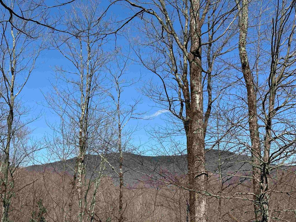 00 Ice Pond Road, Chittenden, VT 05763