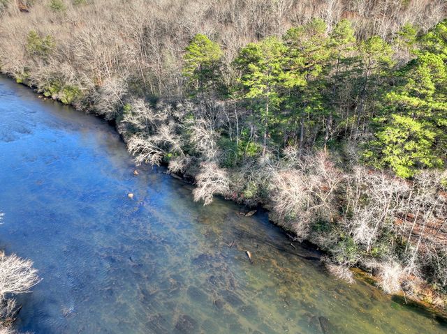 Lot 98 Woodland Bluff Lane, Mineral Bluff, GA 30559